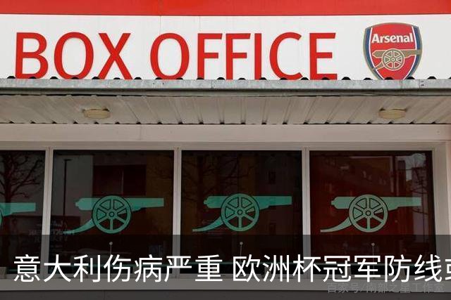 意大利伤病严重 欧洲杯冠军防线或全部无法上场